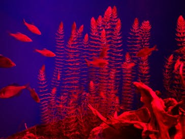 サンシャイン水族館に投稿された画像（2023/10/15）