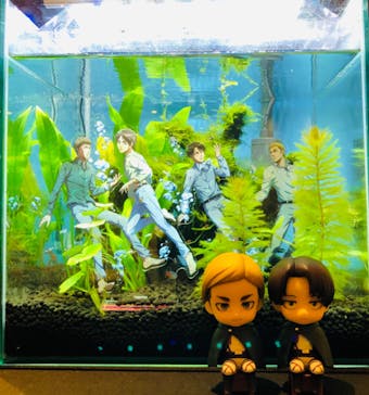 カワスイ 川崎⽔族館に投稿された画像（2023/10/15）