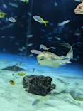 サンシャイン水族館に投稿された画像（2023/10/15）