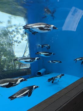サンシャイン水族館に投稿された画像（2023/10/15）