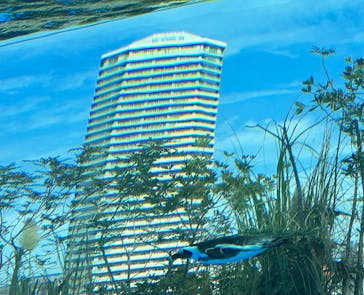 サンシャイン水族館に投稿された画像（2023/10/15）