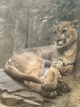 神戸どうぶつ王国に投稿された画像（2023/10/15）