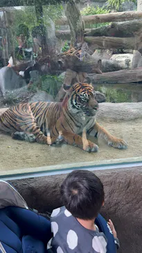 神戸どうぶつ王国に投稿された画像（2023/10/15）