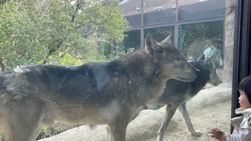神戸どうぶつ王国に投稿された画像（2023/10/15）