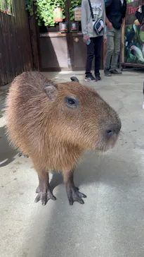 神戸どうぶつ王国に投稿された画像（2023/10/15）