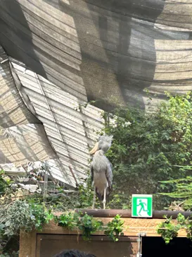 神戸どうぶつ王国に投稿された画像（2023/10/15）