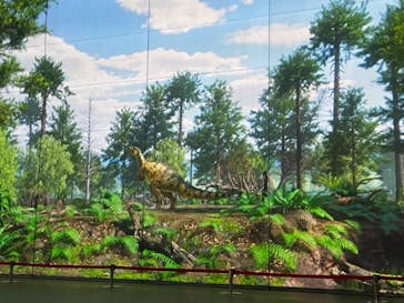 福井県立恐竜博物館に投稿された画像（2023/10/15）