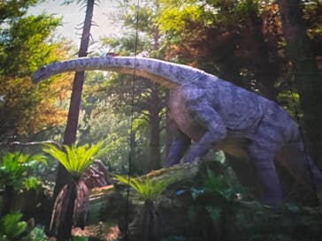 福井県立恐竜博物館に投稿された画像（2023/10/15）