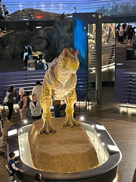 福井県立恐竜博物館に投稿された画像（2023/10/15）