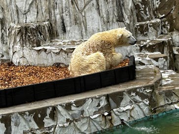 名古屋市東山動植物園に投稿された画像（2023/10/15）