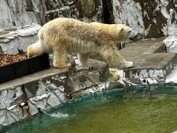 名古屋市東山動植物園に投稿された画像（2023/10/15）