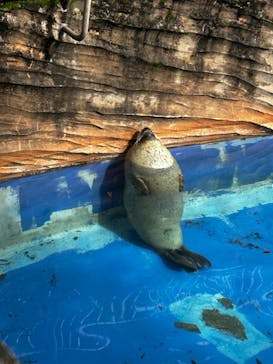 名古屋市東山動植物園に投稿された画像（2023/10/15）