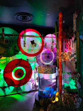 NARA KINGYO MUSEUMに投稿された画像（2023/10/15）