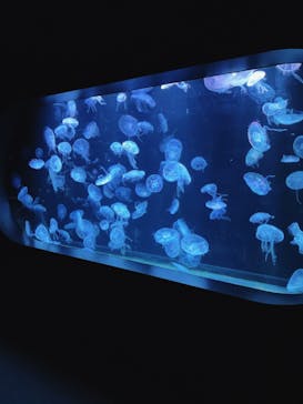 AOAO SAPPOROに投稿された画像（2023/10/15）