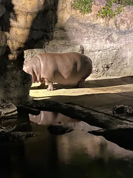 天王寺動物園に投稿された画像（2023/10/15）