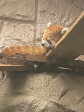 天王寺動物園に投稿された画像（2023/10/15）