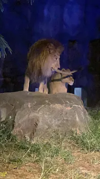 天王寺動物園に投稿された画像（2023/10/15）