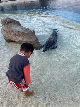 大分マリーンパレス水族館 「うみたまご」に投稿された画像（2023/10/15）