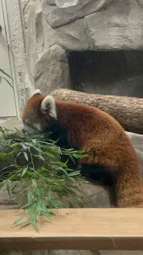 天王寺動物園に投稿された画像（2023/10/15）