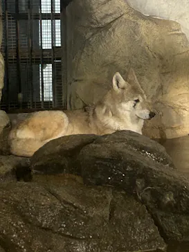 天王寺動物園に投稿された画像（2023/10/15）