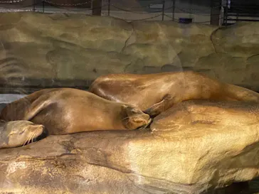 天王寺動物園に投稿された画像（2023/10/15）