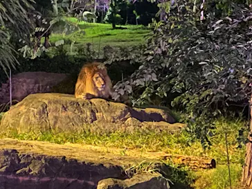 天王寺動物園に投稿された画像（2023/10/15）