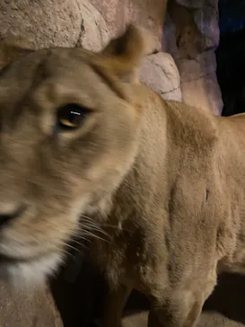 天王寺動物園に投稿された画像（2023/10/15）