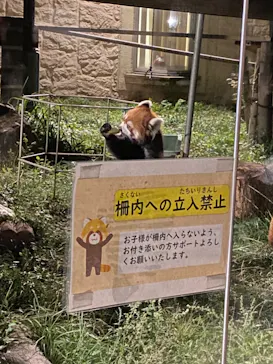 天王寺動物園に投稿された画像（2023/10/15）