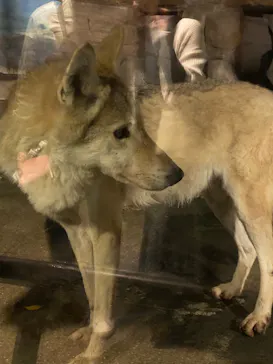 天王寺動物園に投稿された画像（2023/10/15）