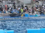 名古屋港水族館に投稿された画像（2023/10/15）