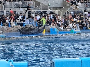 名古屋港水族館に投稿された画像（2023/10/15）