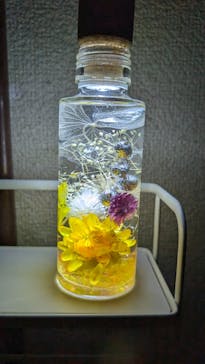 ずこうしつ〜sugamo〜に投稿された画像（2023/10/15）