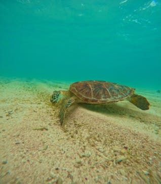 うみソラに投稿された画像（2023/10/15）