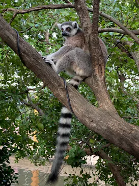 神戸どうぶつ王国に投稿された画像（2023/10/15）