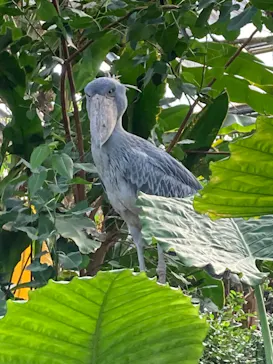 神戸どうぶつ王国に投稿された画像（2023/10/15）