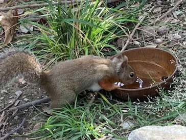神戸どうぶつ王国に投稿された画像（2023/10/15）