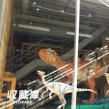 福井県立恐竜博物館に投稿された画像（2023/10/16）