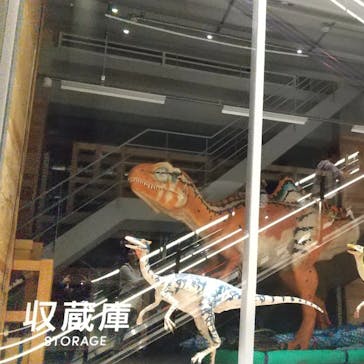 福井県立恐竜博物館に投稿された画像（2023/10/15）