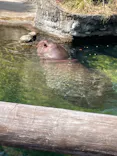 天王寺動物園に投稿された画像（2023/10/16）