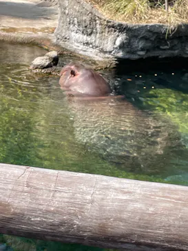 天王寺動物園に投稿された画像（2023/10/15）