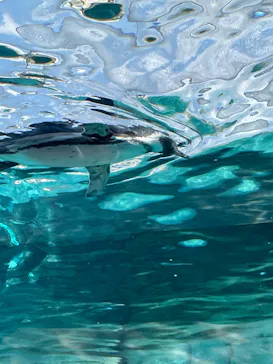 天王寺動物園に投稿された画像（2023/10/15）