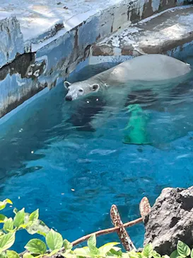 天王寺動物園に投稿された画像（2023/10/15）