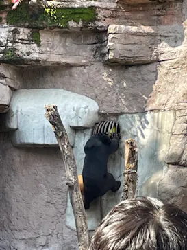 天王寺動物園に投稿された画像（2023/10/15）