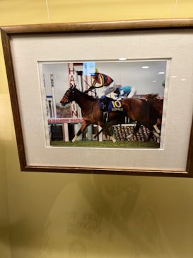 ノーザンホースパークに投稿された画像（2023/10/15）