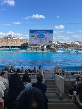 名古屋港水族館に投稿された画像（2023/10/15）
