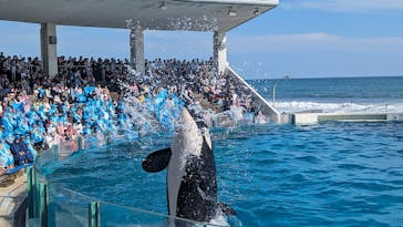 鴨川シーワールドに投稿された画像（2023/10/15）