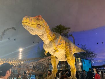 福井県立恐竜博物館に投稿された画像（2023/10/16）