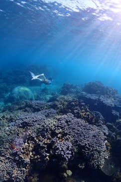 ソルトウォーターソーシャルクラブに投稿された画像（2023/10/15）