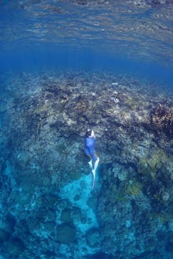 ソルトウォーターソーシャルクラブに投稿された画像（2023/10/15）