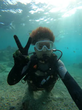 武藤潜水に投稿された画像（2023/10/16）